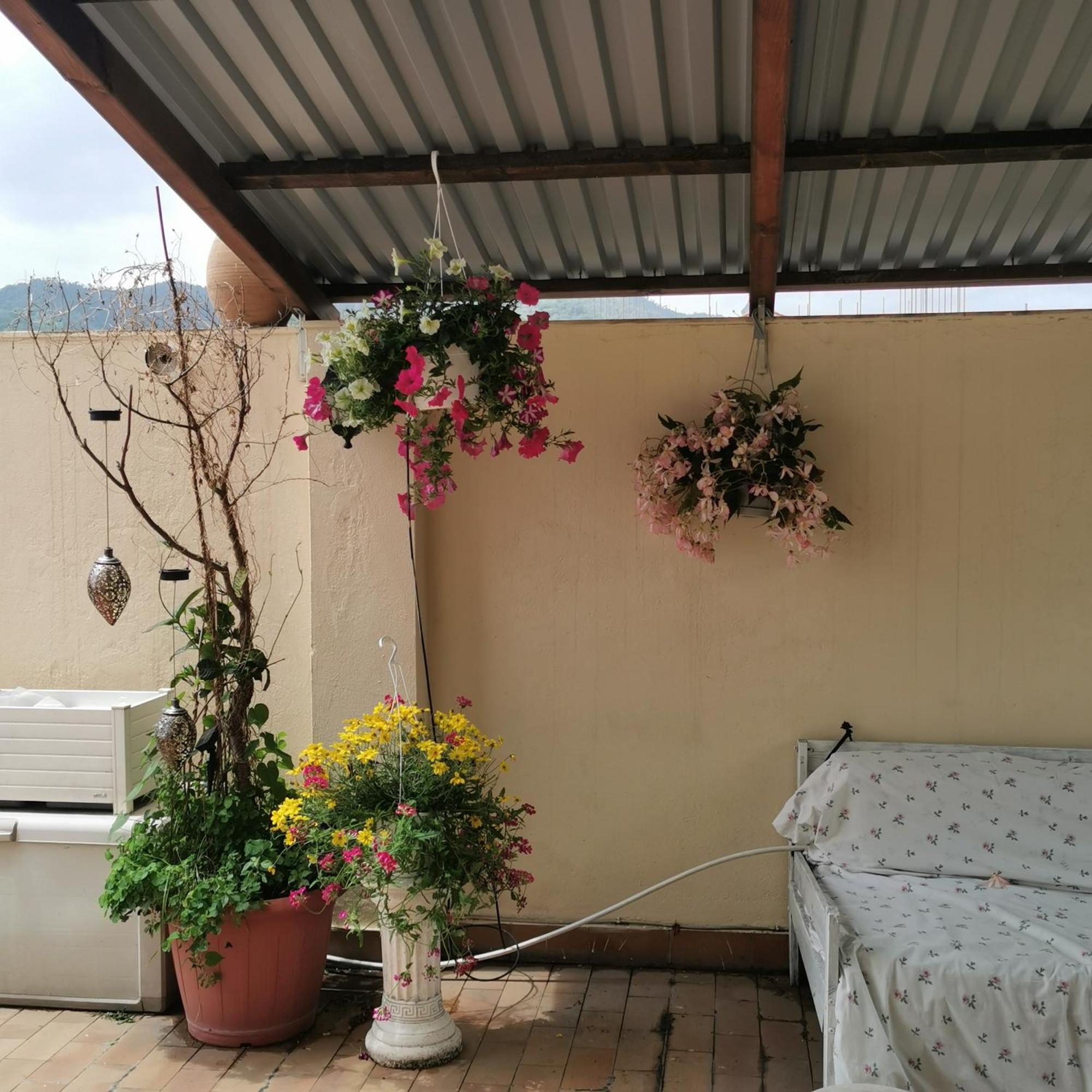 ألبيسولا سوبيريوري Albisola Bed And Breakfast المظهر الخارجي الصورة